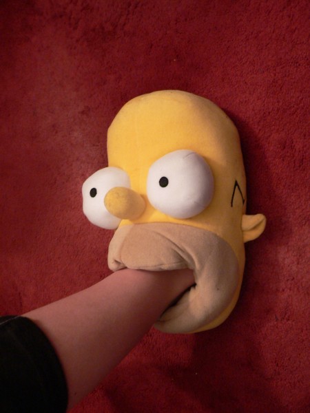homer.jpg